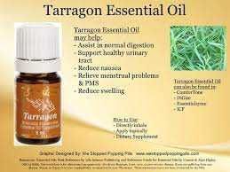 Ulei esential Tarragon - tarhon, Young Living, 5 ml