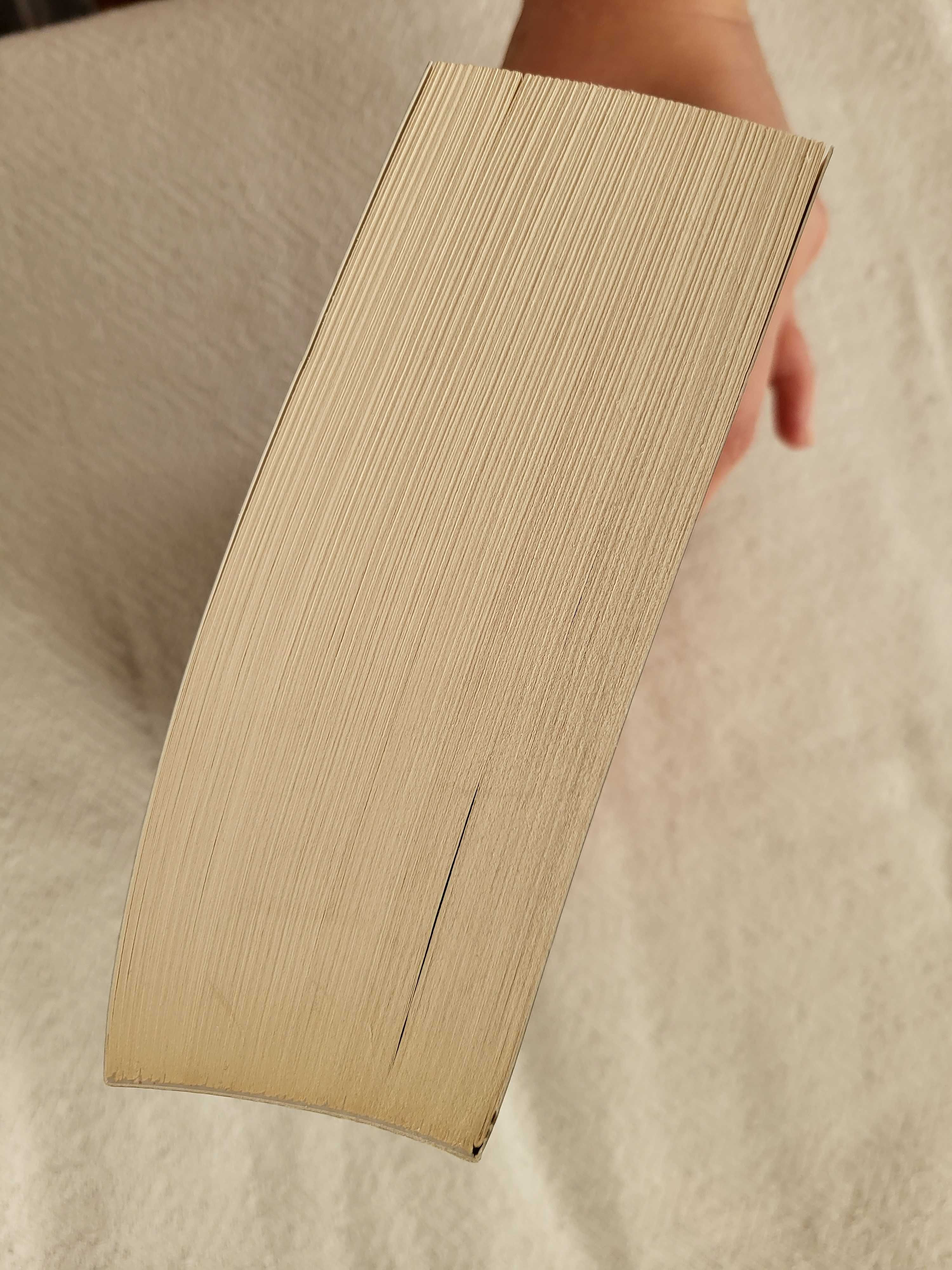 ,,Пожарникаря" - Джо Хил (книга)