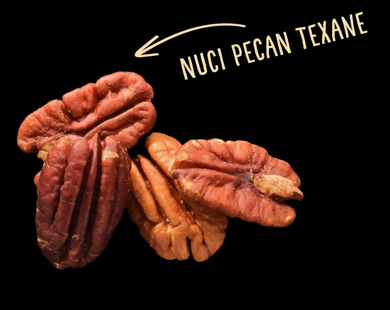 Pomi fructiferi deosebiti  nuc  pecan soiul texan si avalon