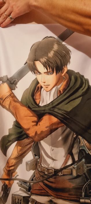 Levi Ackerman Attack on Titan dakimacura pillow cover