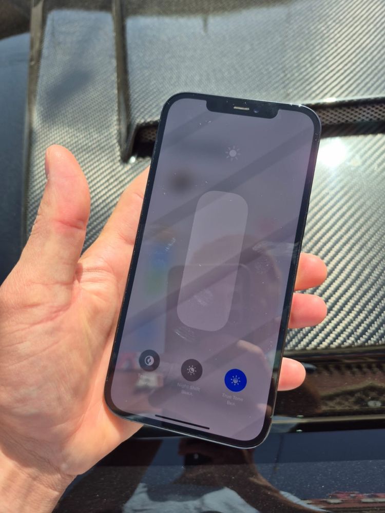 iPhone 12 Pro Max 256