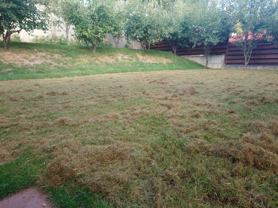 Tuns gazon, scarificare gazon, servicii de gradinarit