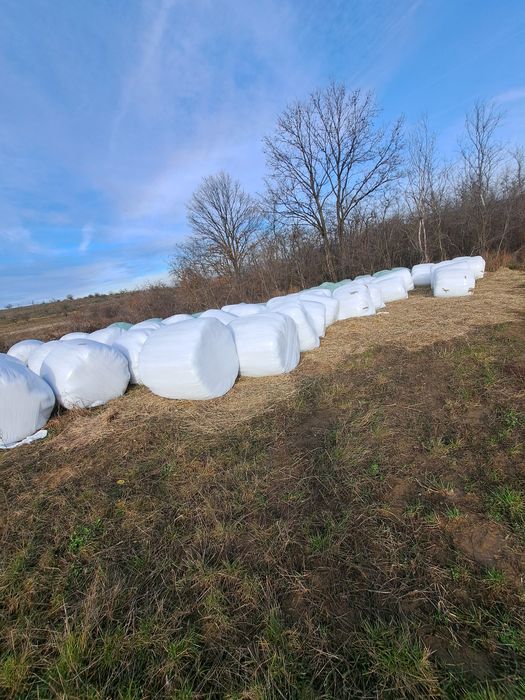 Vand baloti infoliati de lucerna și otava