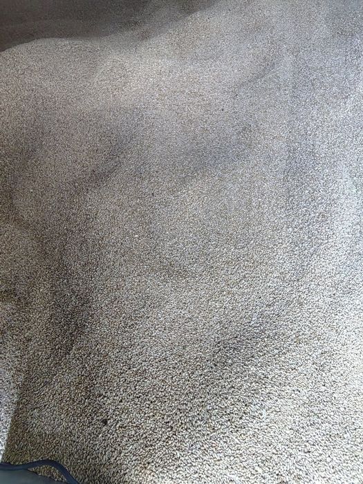 Vand grau nou de anul acesta