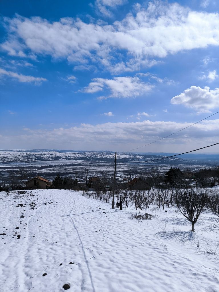 Продава се Парцел в с. Зетьово, Област Бургас - 700 кв.м за 22 €/кв.м - Снимка #5