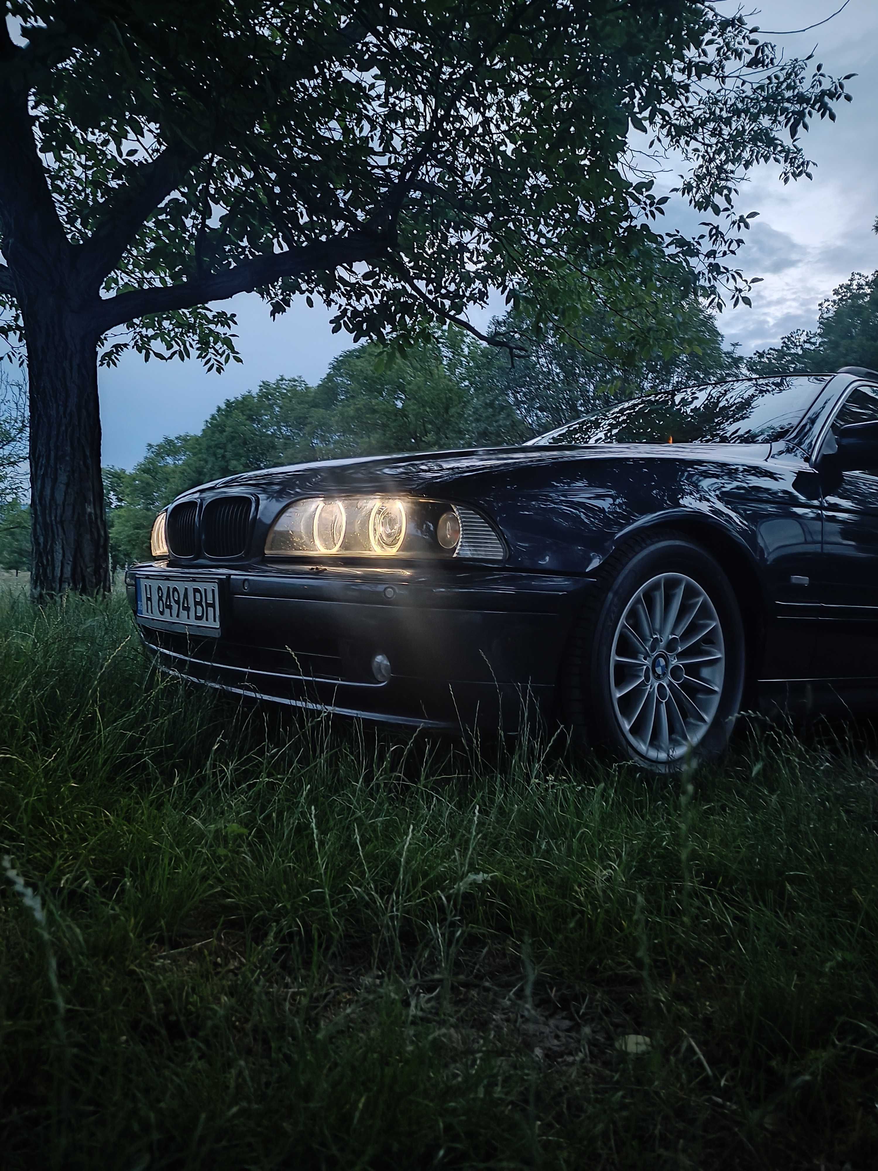 Bmw e39 530d 2002