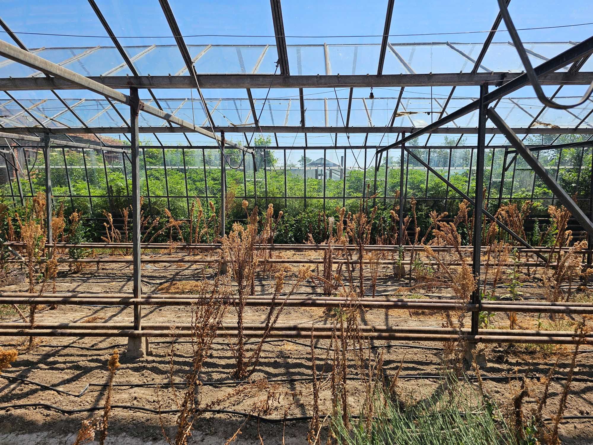 Продава се стъклена оранжерия