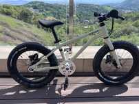 Bicicleta Early Rider Seeker X16