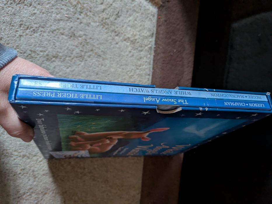 SET 2 Carti in engleza The Snow Angel + while Angels Watch