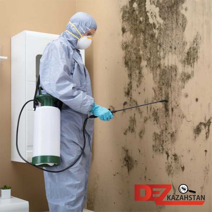 DEZ-Kazahstan.Уничтожение клопов, тараканов. Дезинфекция. Лисаковск