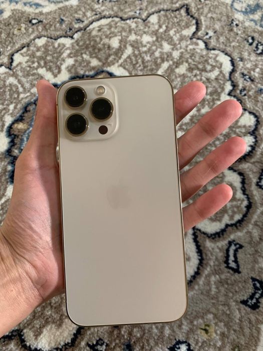 Iphone 13 Pro Max 256 ideal
