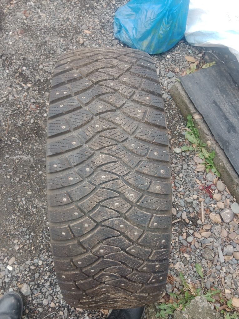 Продам зимнюю резину DUNLOP
