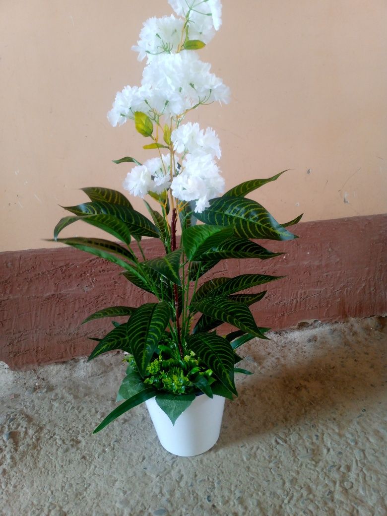 Katta Suniy gullar
