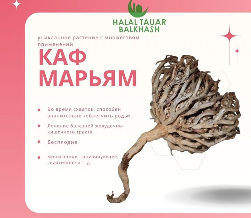 Каф марьям продам, кафмарьям