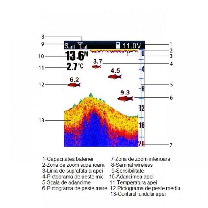 Sonar Color pentru Barcute de Plantat 300m