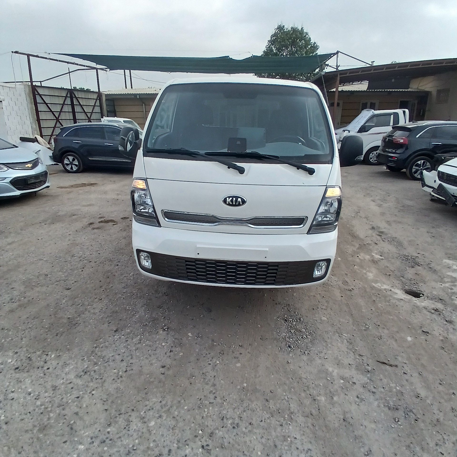 Kia bongo electric