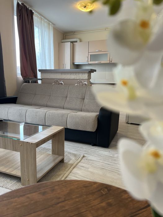 Apartament 2 camere - Regim Hotelier Ared Kaufland