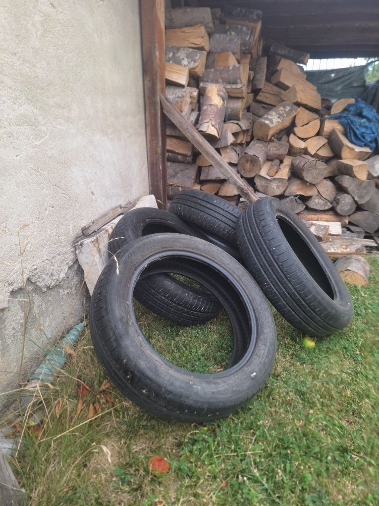 Falken dos 23...
