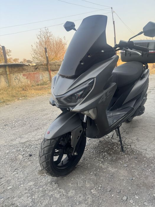 Скутер тайгер