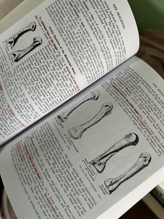 Gray’s anatomy paperback