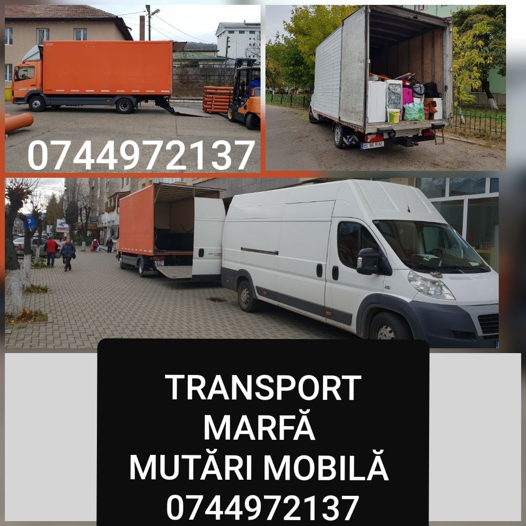 Transport marfă servicii Mutari mobilă camion cu Lift Ofer Manipulanti