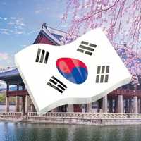 курсы корейского языка