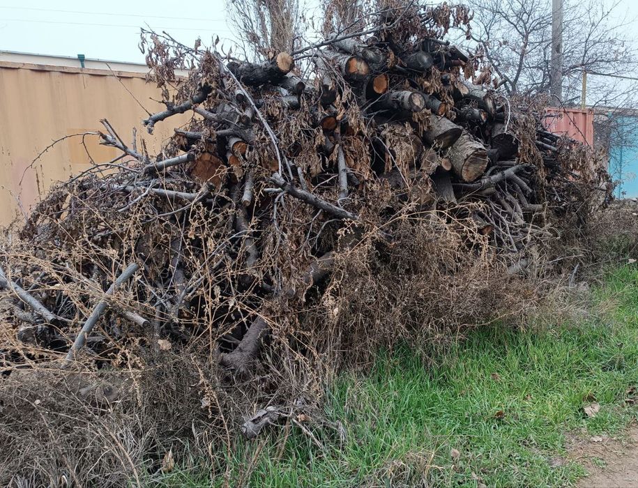 Ўтин Дрова сотамиз. Мевали дарахтларники.