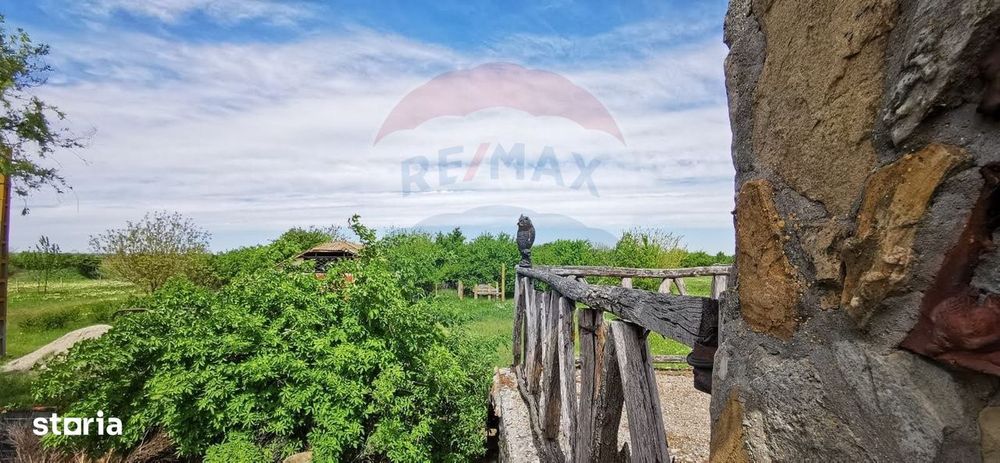 Vanzare Casa-Conac boieresc stil Baroc cu teren in Stoenesti, jud Olt