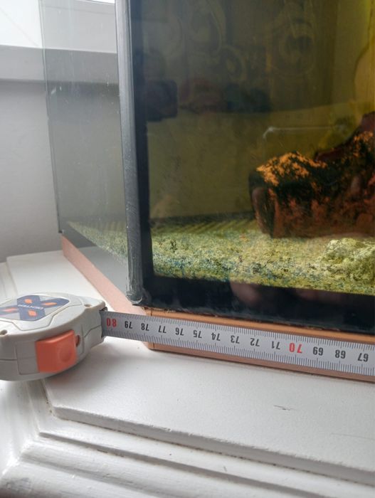 Vand Acvariu pe colt