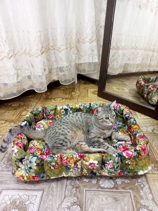 Лежанка для котов и собак