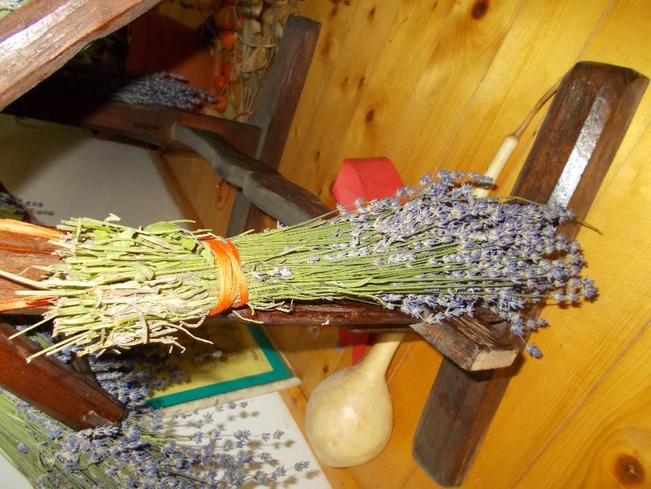 Lavanda proaspata si uscat