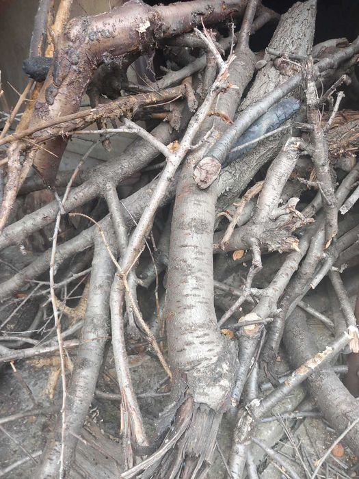 Дървен материал / дърва / подпалки