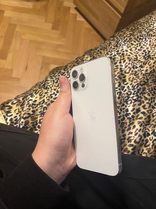 iphone 12 pro silver