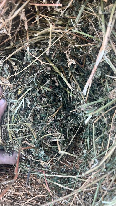 Vand baloții lucerna