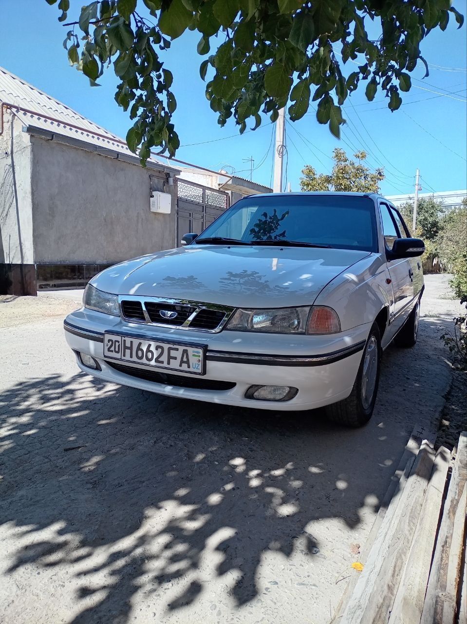 Neksiya sons trambilyor sirochna sotiladi xolati alo