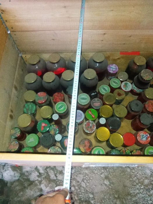 Жожа катак хорож ини