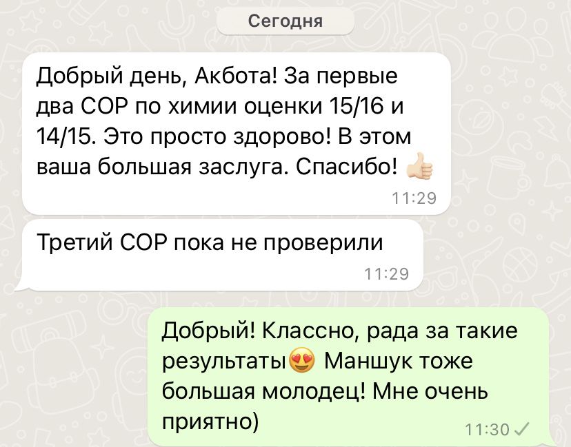 Репетитор по химии, СОР,СОЧ по химии