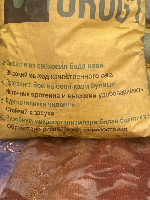 Beda urug’i OPTIM [ TOSHKENT N1]