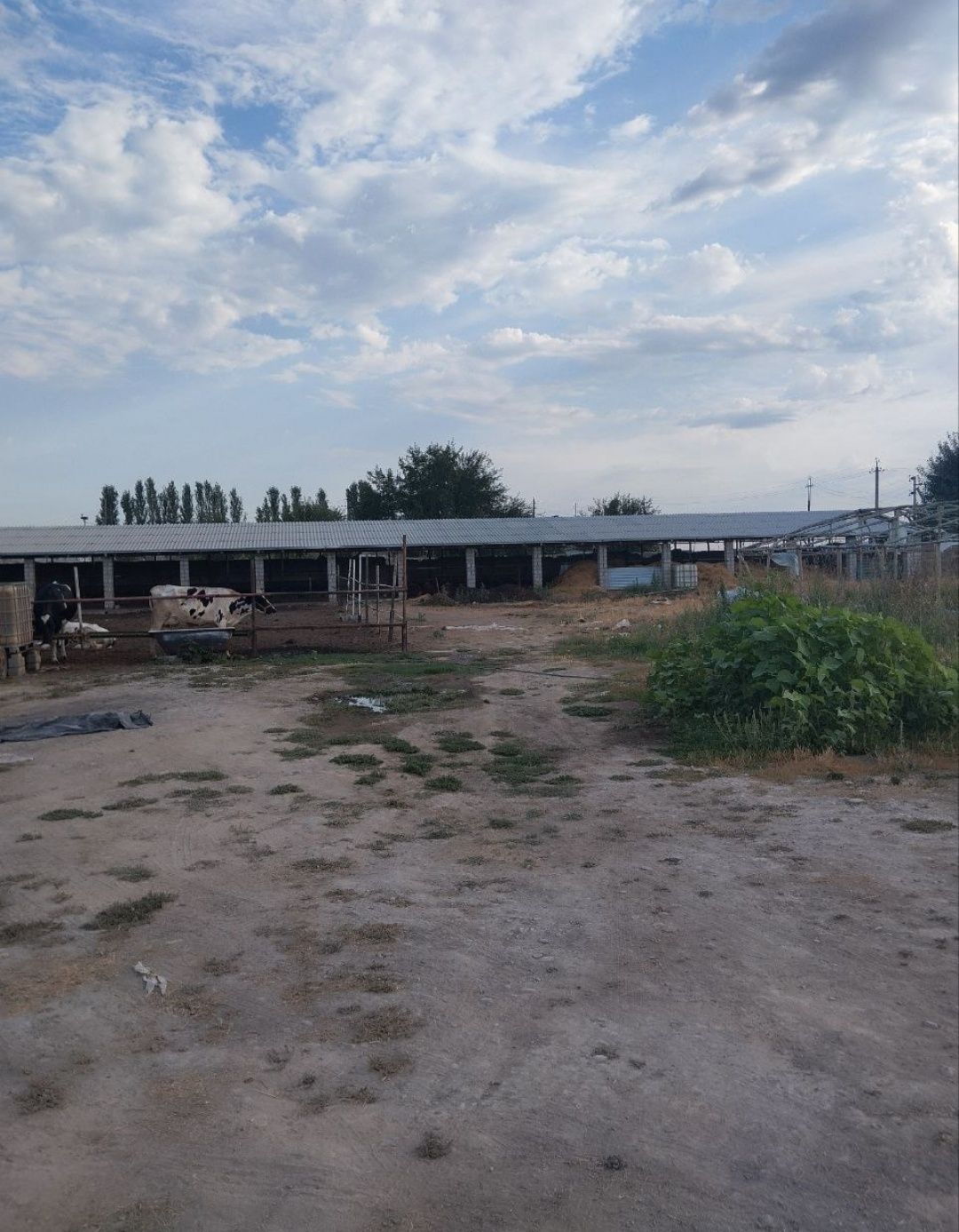 Срочно продается не жилой участок 80 соток земли