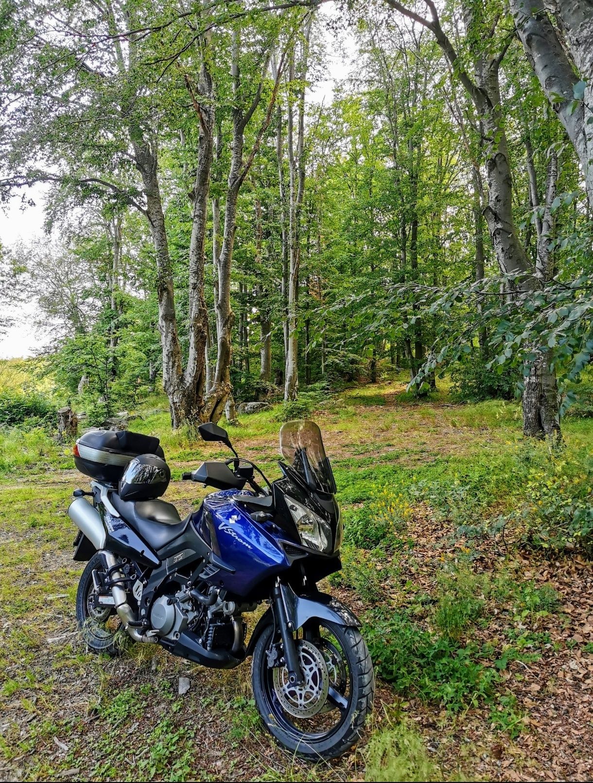 Suzuki V-stron 1000