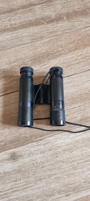 Binoclu Leitz(leica) 10x25 BC