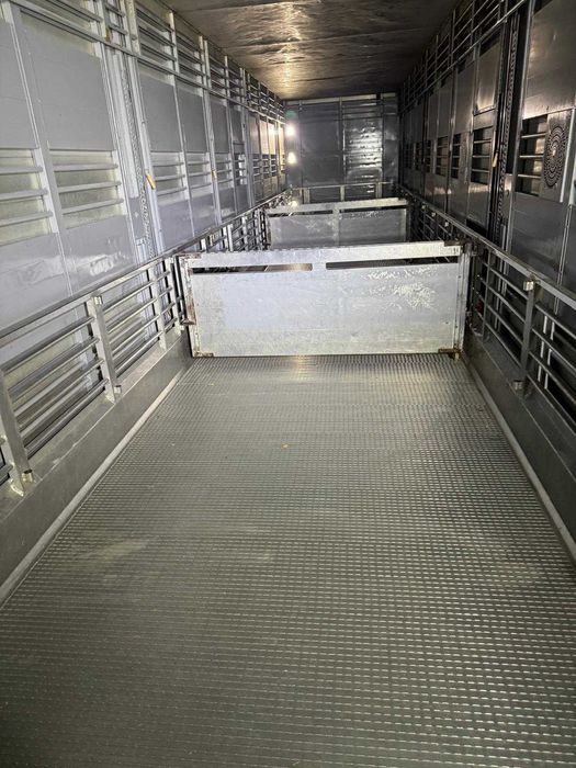 Transport animale vii