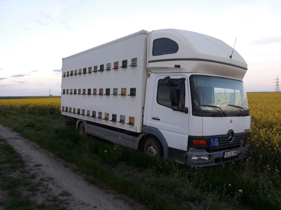 Vând URGENT !!!  Camion apicol Mercedes Atego 7,5 tone.