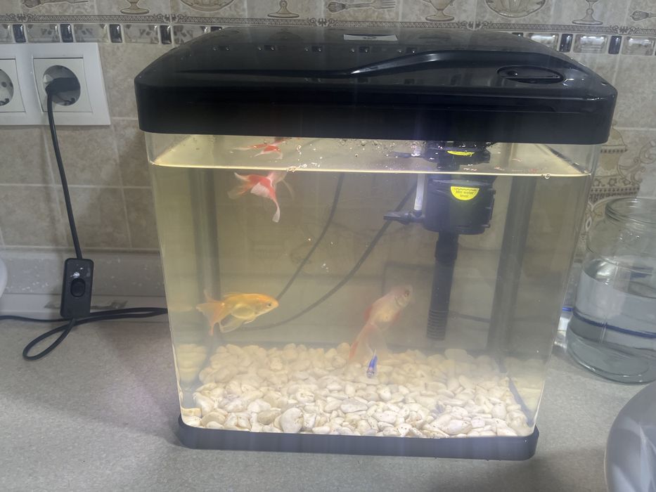 Аквриум для рыбок