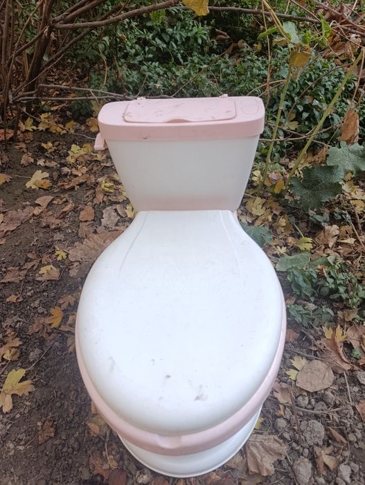 Унитаз - горшок детский для девочек. писсуар для мальчика