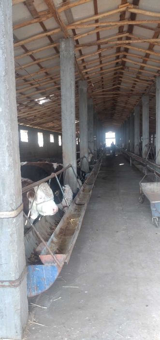 Сдается в аренду ферма