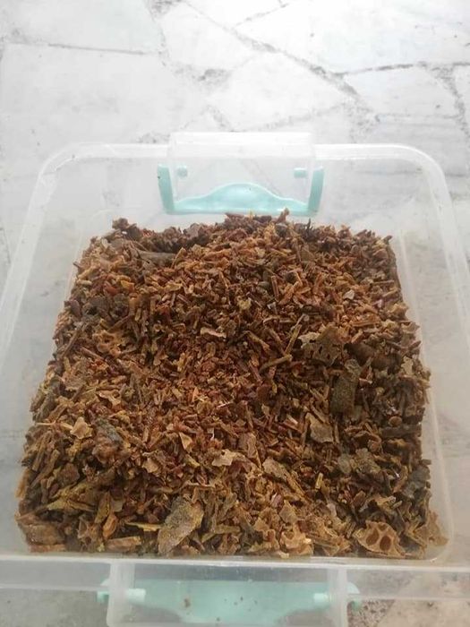 Vand propolis brut- Propolis (Kit Pszczeli) – Comandă minimă: 10 kg
