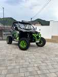 Arctic cat wildcat(Can am polaris cf moto)Nissan patrol Toyota LJ