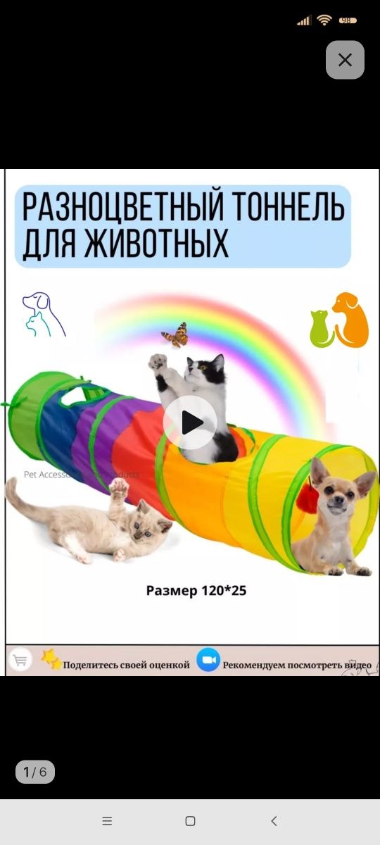 Туннель и кофты для кошечки