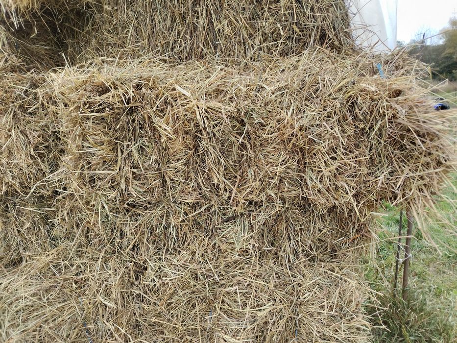 Vand baloți fân ,